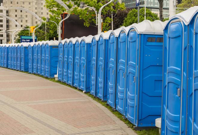 Long row of blue portable restroom units at a large public event